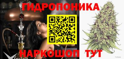 дурь Кинель