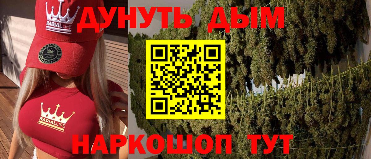 Волхов  Каннабис SATIVA & INDICA  Марихуана THC 21%  Бошки Шишки план  Вход с VPN 